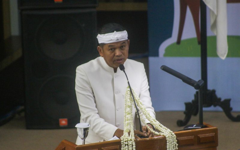 Ratusan Ayam Wafat Terpanggang Sebab Kebakaran Peternakan di Cigudeg