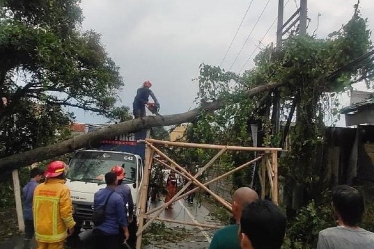 Pohon Tumbang Timpa 1 Rumah di Cibinong