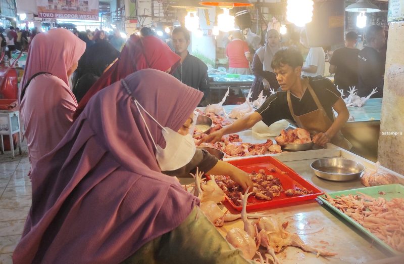 Harga Daging Ayam Potong Mahal Diduga Gegara Pakan Naik