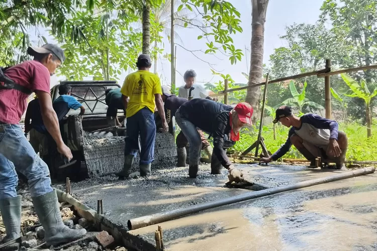 Pohon Kapuk Tumbang Timpa 2 Konstruksi di Citeureup