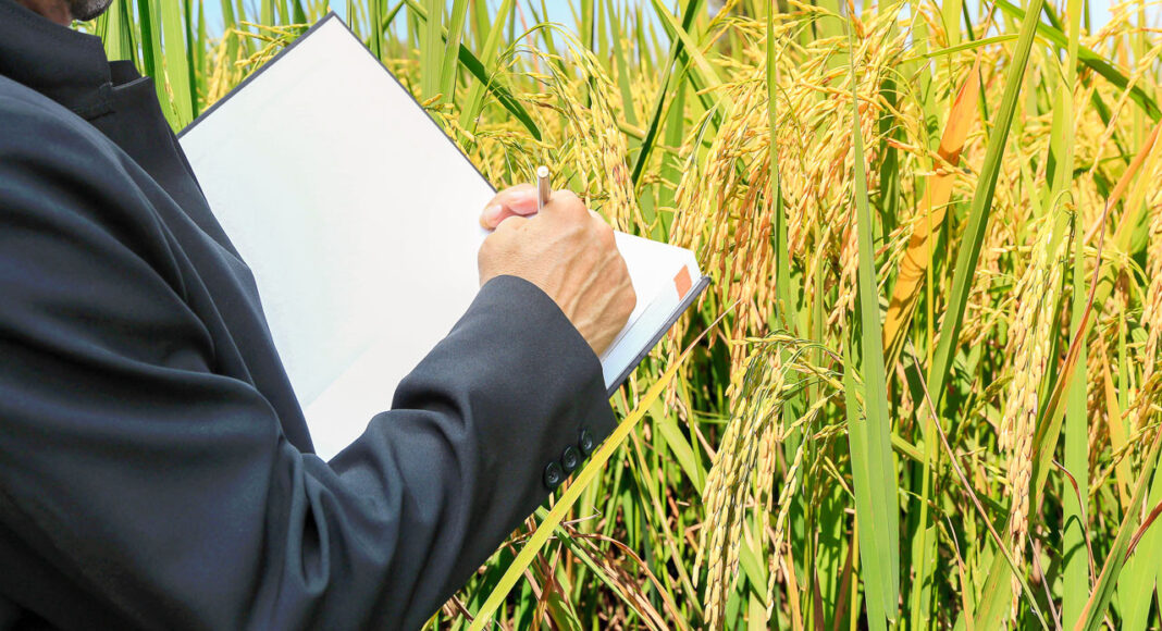 Peluncuran Penyaluran Bantuan Sosial Beras Terfortifikasi dan Biofortifikasi