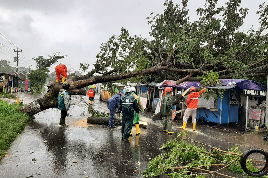 Pohon Tumbang, Puluhan Pegawai Pabrik di Cibungbulang Kesurupan Massal
