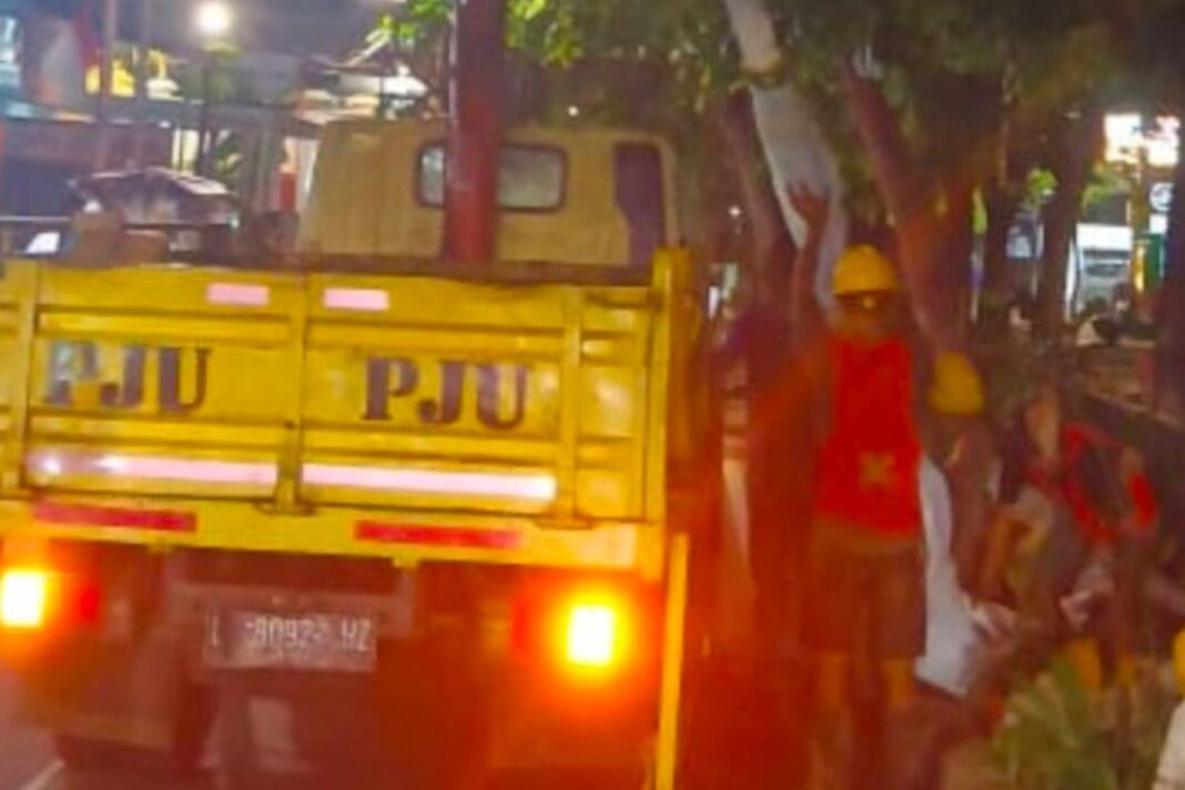 Perkantoran dan Sekolah Harus Punya Jumantik Mandiri untuk Cegah DBD