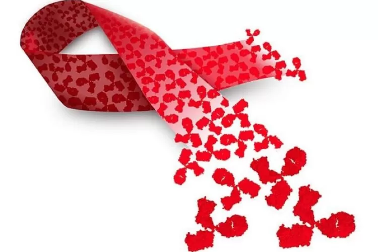 KPA Kalsel Peringati Hari AIDS Sedunia 2025, Kasus HIV Tunjukkan Tren Penurunan