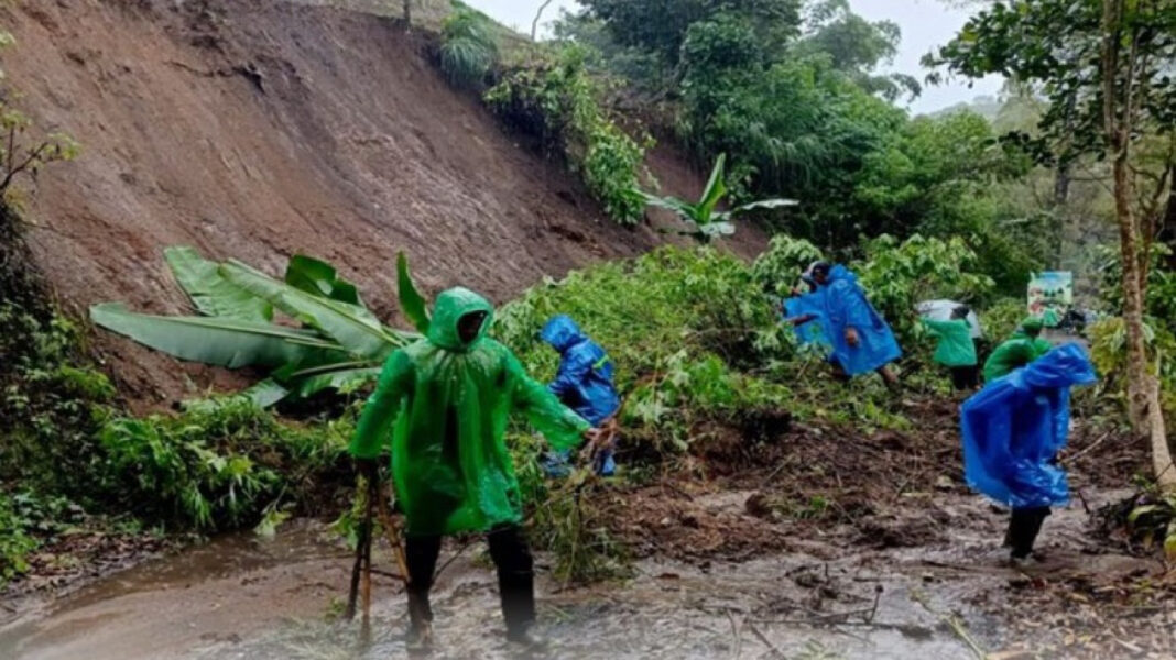 Penanaman Puluhan Pohon oleh BPBD Kota Bogor sebagai Upaya Mitigasi Longsor