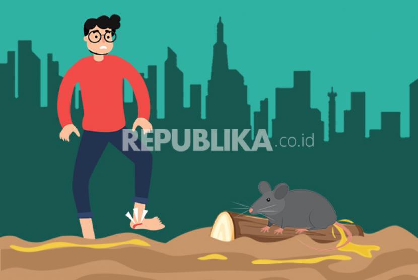 Waspada Leptospirosis, Penyakit Berbahaya Pascabanjir Dampak Kencing Tikus