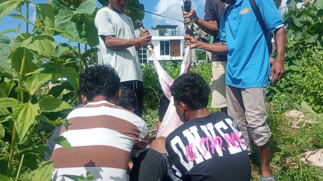 DPP PSI Salurkan Bantuan Pendidikan Gajah Pintar buat 20 Anak Kurang Mampu di Kota Bogor -